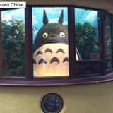 韓国で「トトロ」をコピーした「トロロ」人形を販売 業者に損害賠償命令