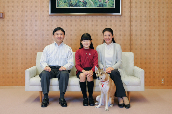 ザギトワ選手に贈られる秋田犬お披露目「まさに秋田美人」：コメント45