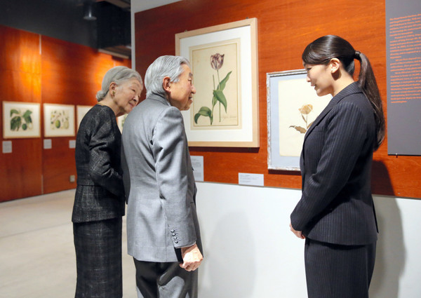 なぜ私たちは「眞子さまと小室圭さんのご結婚」がこんなに不安なのか？：コメント17