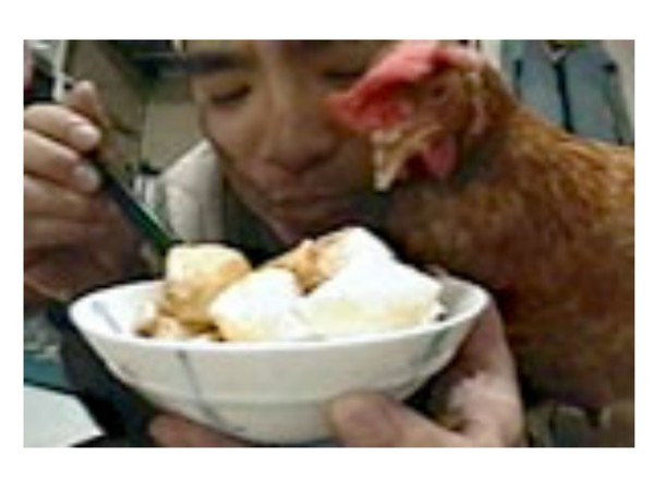 もしも地球上でたった１人の人間になったら何する？：コメント49