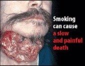 アン・ルイス 長男・美勇士に小5で入れ墨、中1でタバコの勧め:コメント19