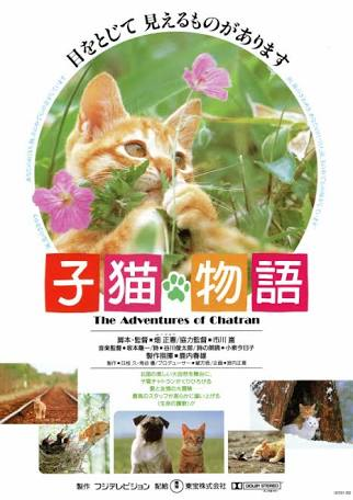 なんではやったんだろう？と思う昭和時代のブームランキング：コメント24