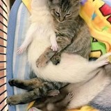 ババァと付き合って捨てるとこうなる