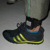 新潟県議会　性犯罪者のGPS監視求める意見書を可決