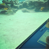 山田優、強気な投稿から一変？心配の声と再炎上への不安が殺到する事態に