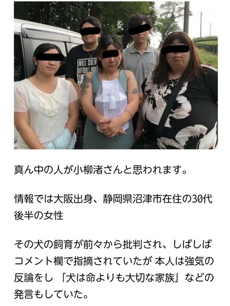 車内に犬6匹放置して全滅、人より熱中症になりやすいのに...「動物虐待」では？：コメント18