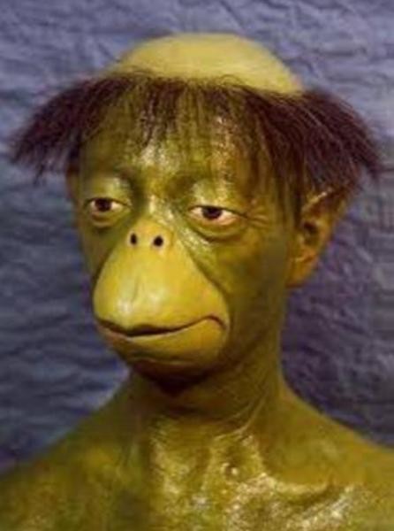 自衛隊　50代の1等陸曹「他人の雨がっぱに興味」雨がっぱ盗んで免職処分に…朝霞駐屯地：コメント18