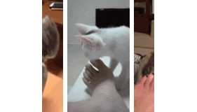 貴方の身近なジキル&ハイドは？