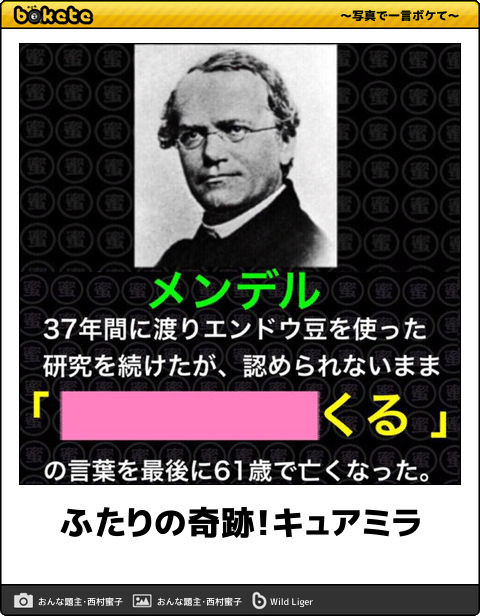 ウケた画像w：コメント1009