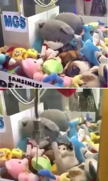 ウケた画像w：コメント939