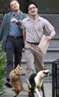 ウケた画像w：コメント938