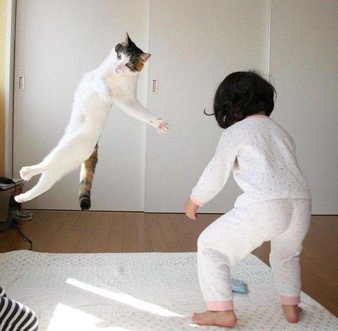 ウケた画像w：コメント956