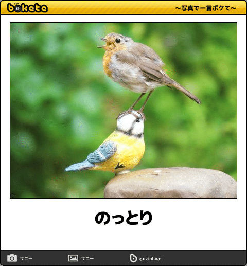 ウケた画像w：コメント993