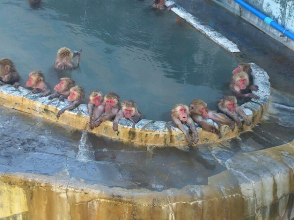 ウケた画像w：コメント1874