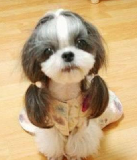 ウケた画像w：コメント1947