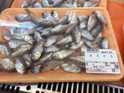 ウケた画像w：コメント2021