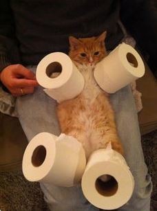 ウケた画像w：コメント2028