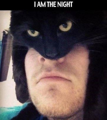 ウケた画像w：コメント2065