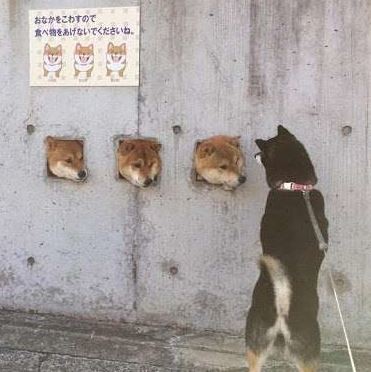 ウケた画像w：コメント2162