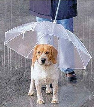 ウケた画像w：コメント2133