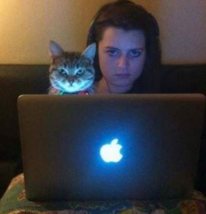 ウケた画像w：コメント2081