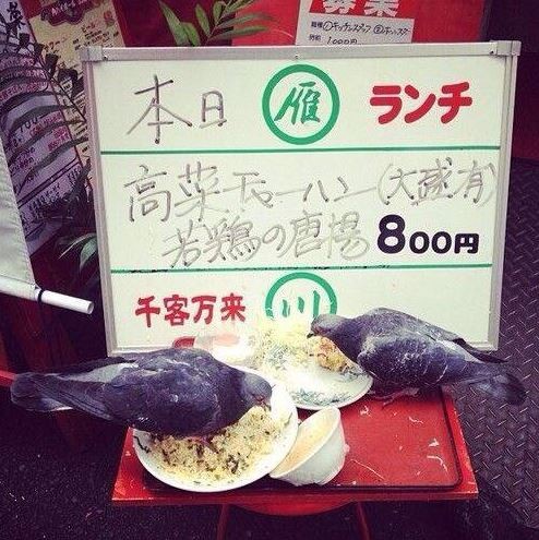 ウケた画像w：コメント2042