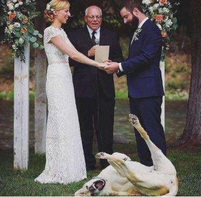 ウケた画像w：コメント2154