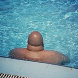 ウケた画像w：コメント2275