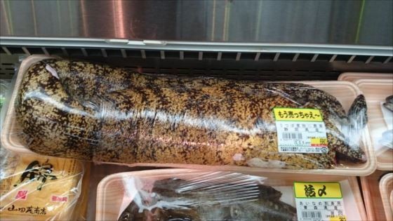 ウケた画像w：コメント2080