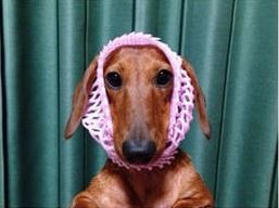 ウケた画像w：コメント1998