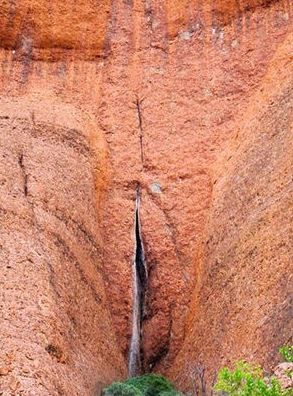 ウケた画像w：コメント2263