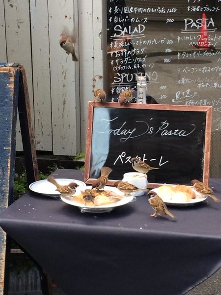 ウケた画像w：コメント2047