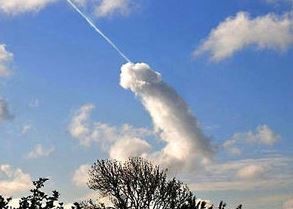 ウケた画像w：コメント2266