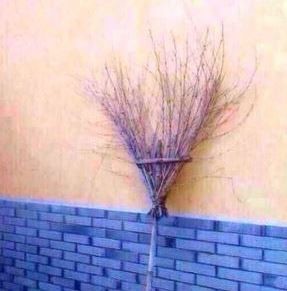 ウケた画像w：コメント2288