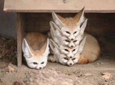 ウケた画像w：コメント2030