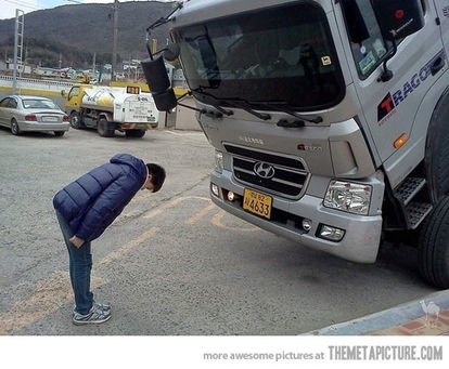 ウケた画像w：コメント2404