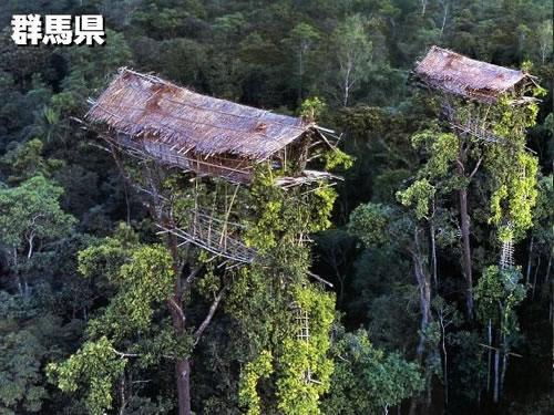 ウケた画像w：コメント2377