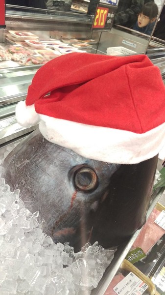 ウケた画像w：コメント2328