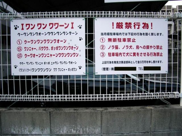 ウケた画像w：コメント1092