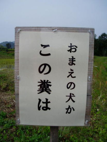 ウケた画像w：コメント1126