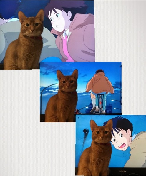 ウケた画像w：コメント2436