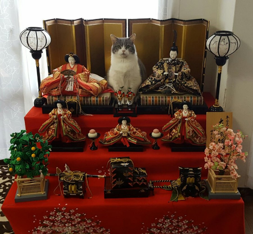 ウケた画像w：コメント2485