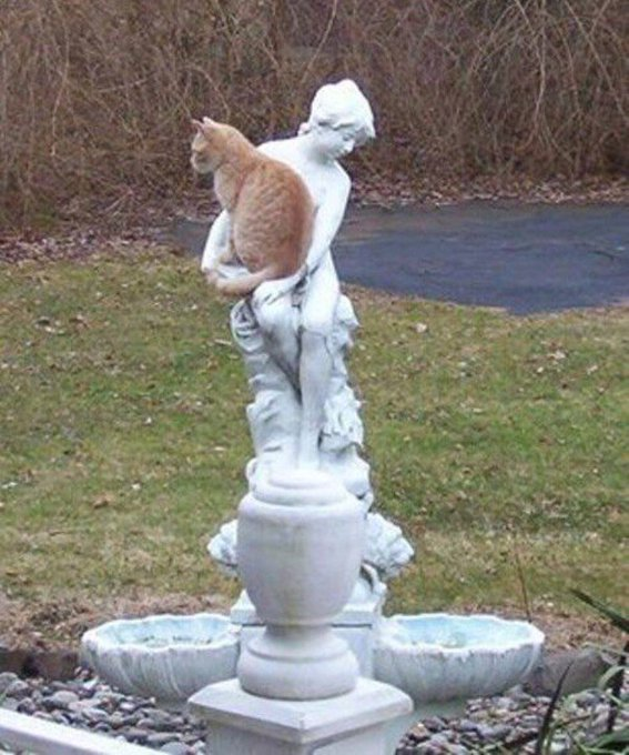 ウケた画像w：コメント2471