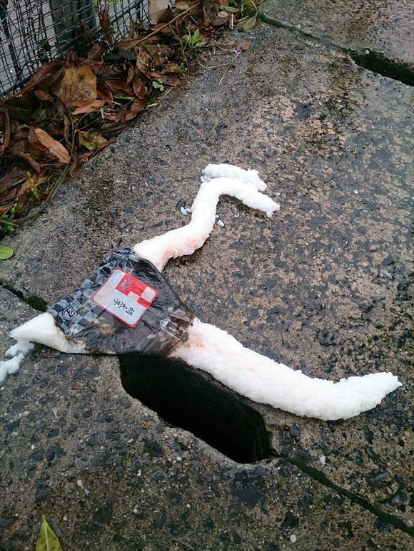 ウケた画像w：コメント2628