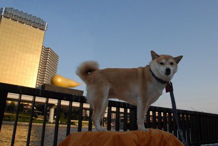 ウケた画像w：コメント2549