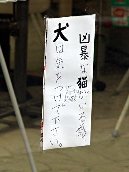 ウケた画像w：コメント2504