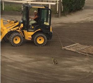 ウケた画像w：コメント2509