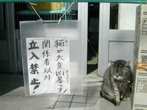 ウケた画像w：コメント2502