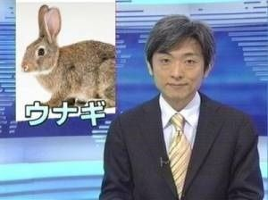 ウケた画像w：コメント2556