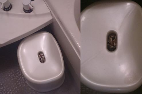 ウケた画像w：コメント2535